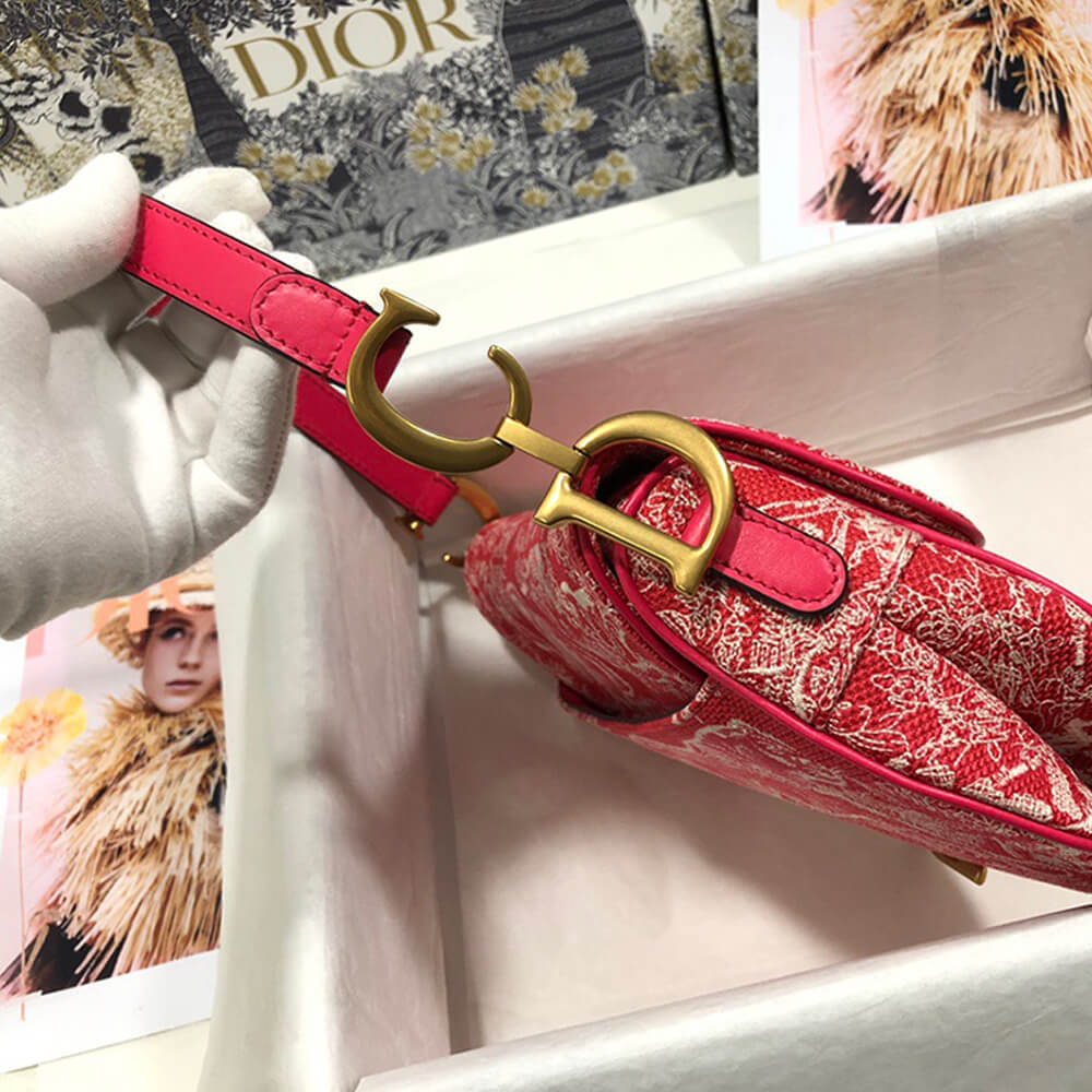Dior SADDLE BAG - Image 3